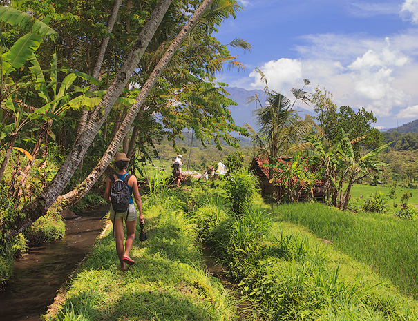 Spaziergang entlang der Reisfelder in Sidemen - Bali - Hotel - Villa Uma Dewi Sri