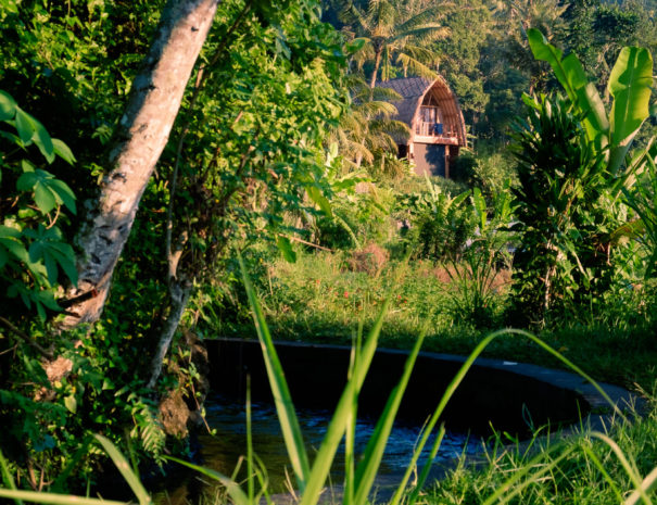 Blick auf das Hotel Villa Uma Dewi Sri in Sidemen vom Bach, der vor der Unterkunft in Bali verläuft